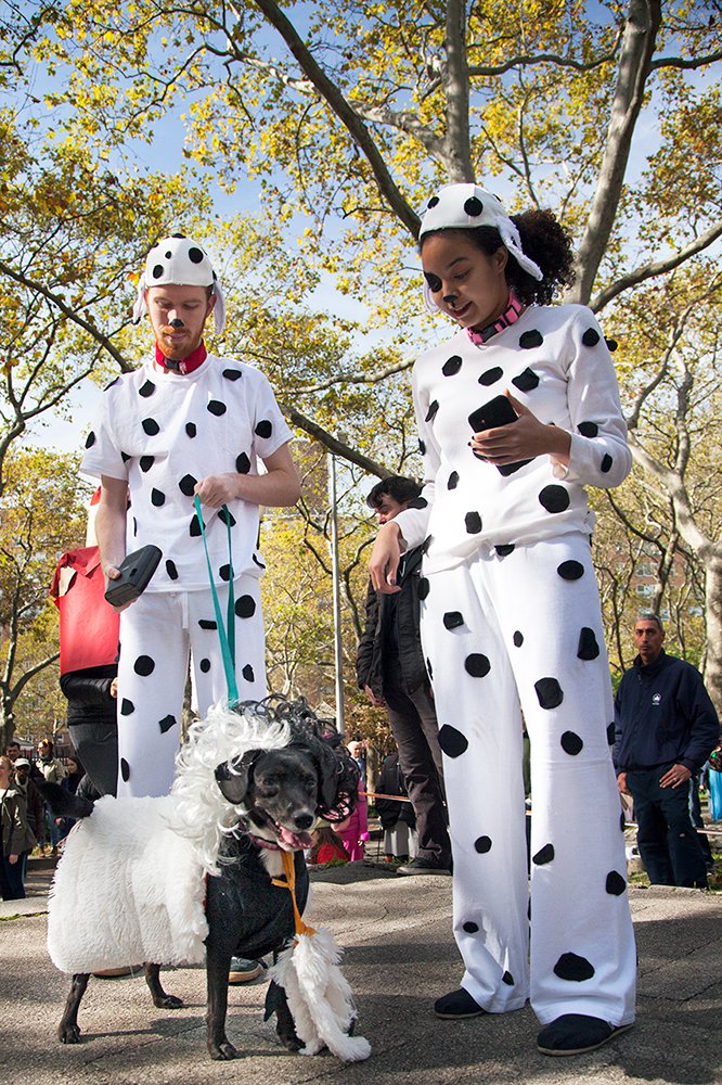 906deeab12a30dc656_mg_5746_cruella-jpg-jpeg.jpeg