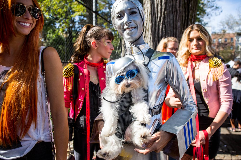 91822c597doghalloween-121-jpg.jpeg