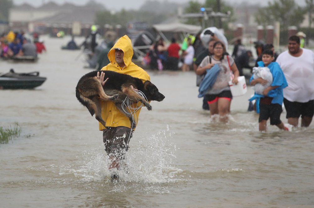 939d76c50gettyimages-840306002-jpg.jpeg People evacuate their homes after the area was inundated with flooding from Hurricane Harvey on August 28, 2017 in Houston, Texas<br>(Getty Images)