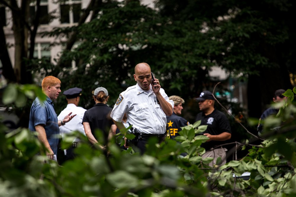 954f58d65081517fallencentralparktree-8-jpg.jpeg