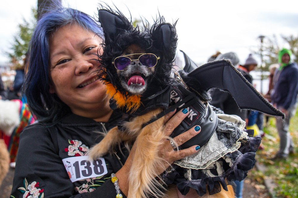 96e3d4e9adog-31-jpg.jpeg