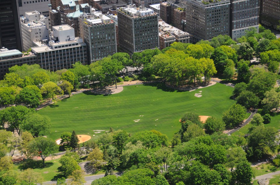 East Meadow, present day. (Courtesy of the Central Park Conservancy)