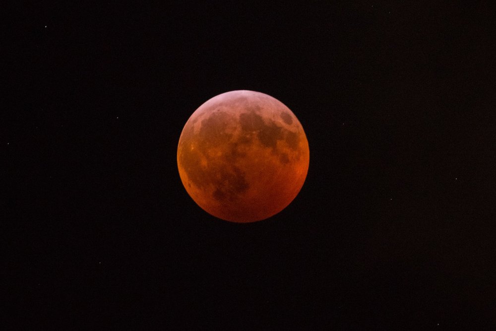 9785ca145shutterstock_10069460b-jpg.jpeg The Super Blood Wolf Moon Eclipse over New York (Erik Pendzich/Shutterstock)