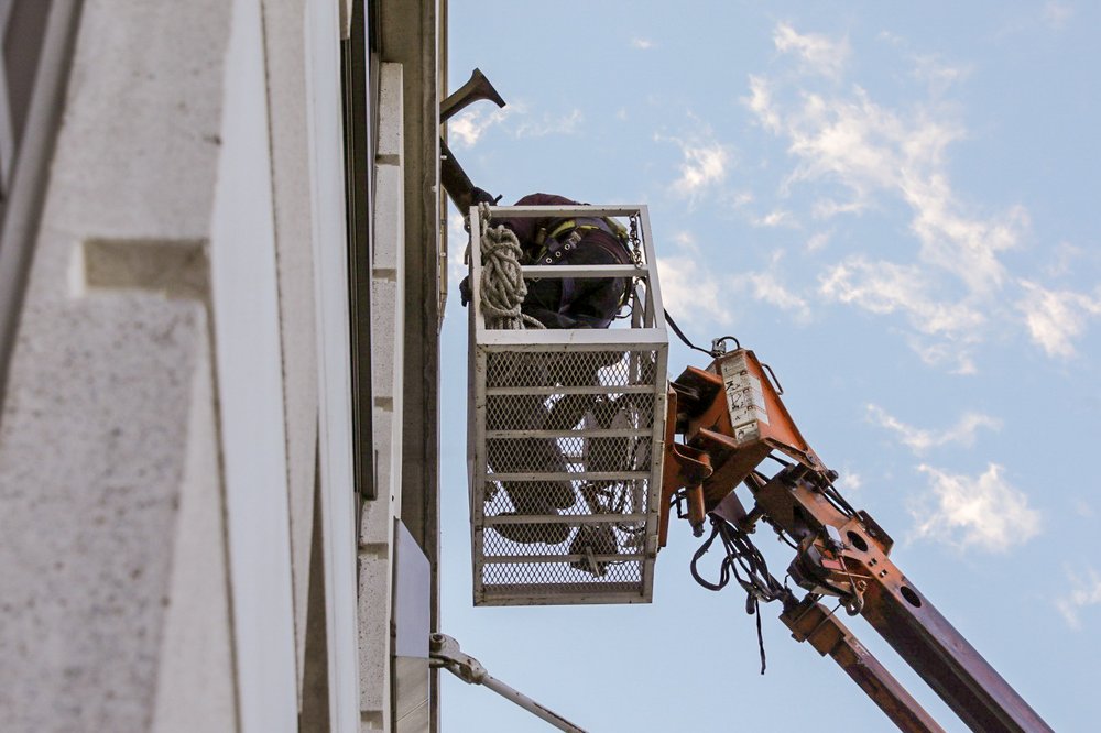 (<a href="https://www.todseelie.com/">Tod Seelie</a> / Gothamist)