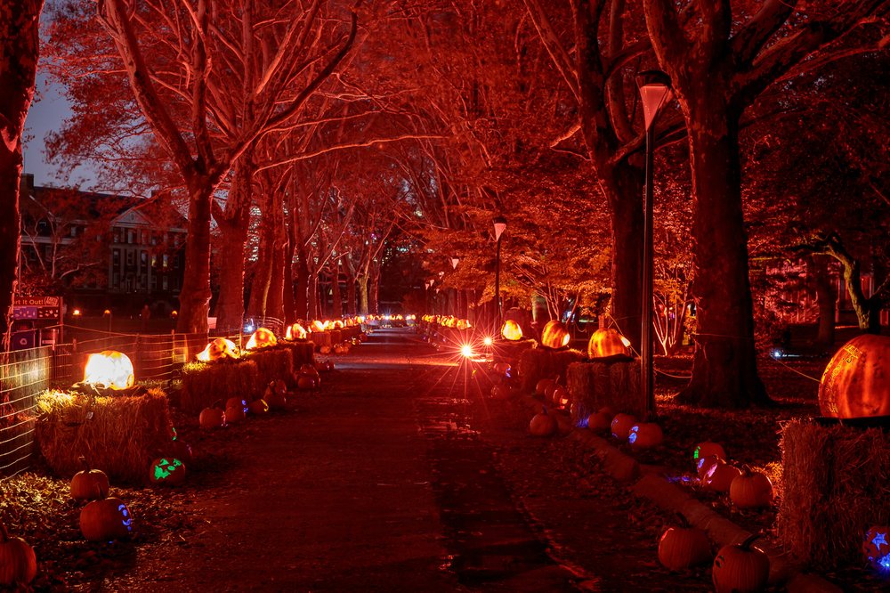 984b58262riseofjackolanterns-todseelie-34-jpg.jpeg
