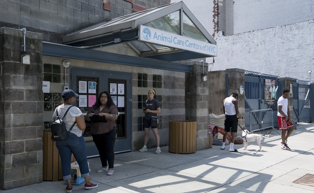 People looking to adopt or surrender their pets wait outside of Animal Care Centers to speak with a staff member.