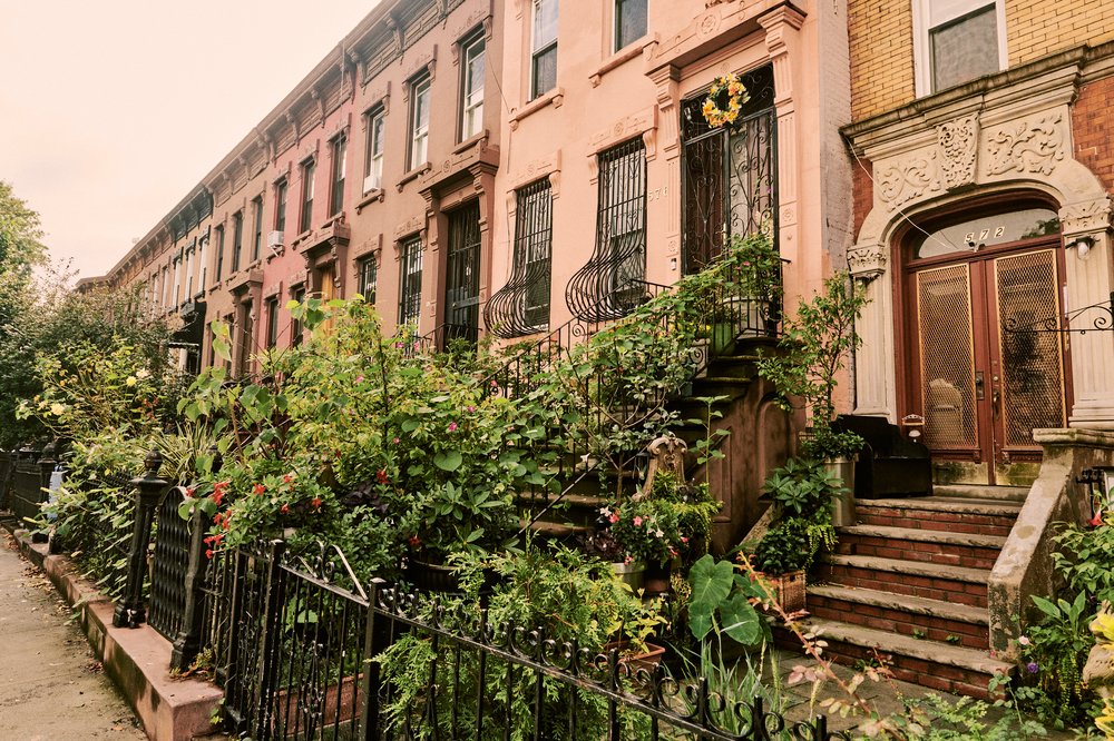 A row of brownstone buildings in Bed-Stuy with lush, greenery-filled front stoops.