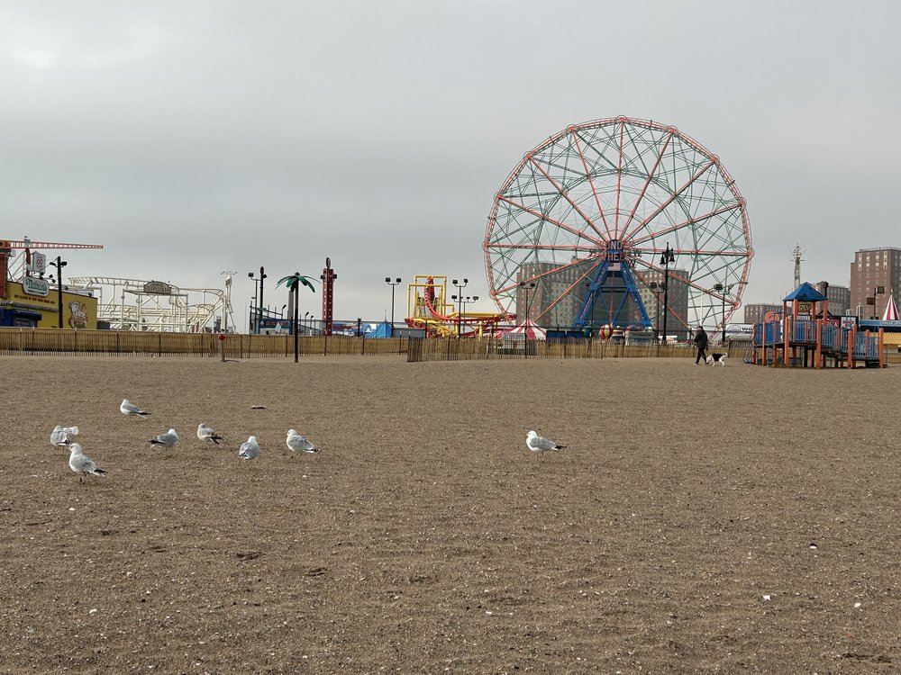 A view of Coney Island from the beach.