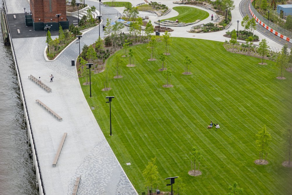 A freshly renovated lawn.