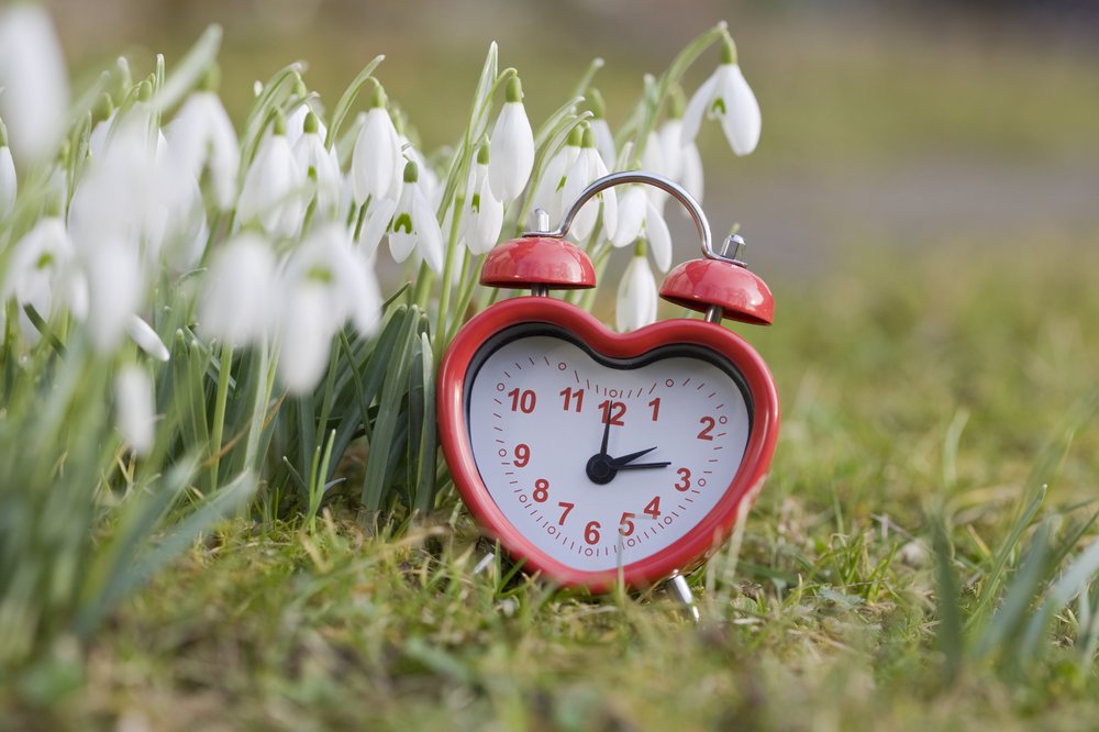 A photo of a clock in springtime to depict daylight saving time.