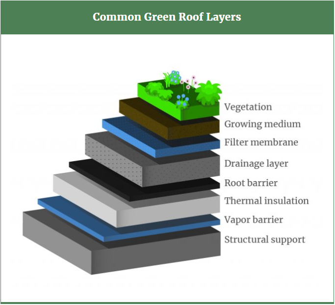 This illustration represents the most common design of a green roof, according to the Environmental Protection Agency, though not all the layers shown are found on every green roof.