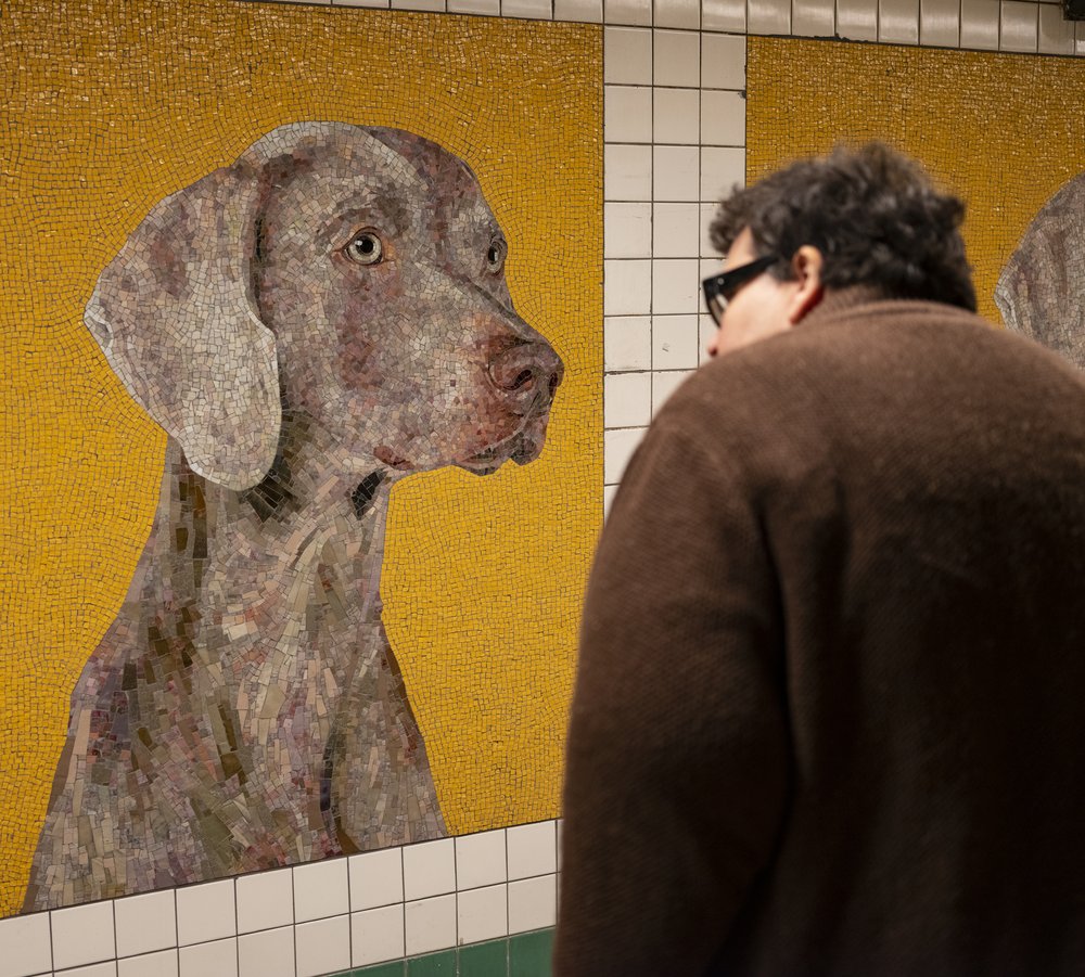 A picture of a dog in a subway station