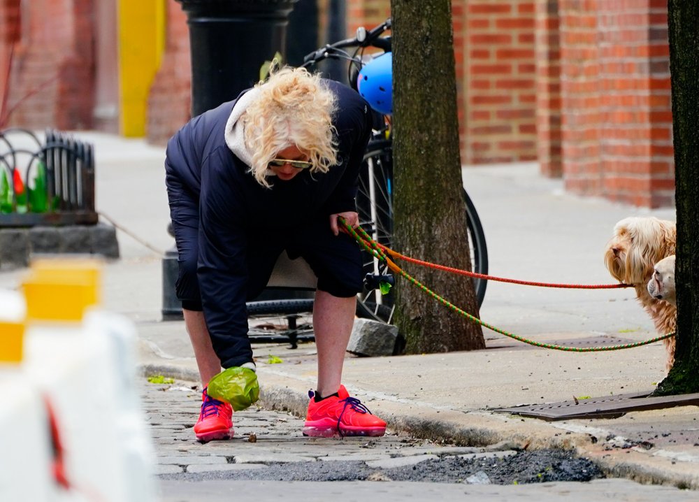 The Australian actress Deborra-Lee Furness picks up dog poop in Manhattan.