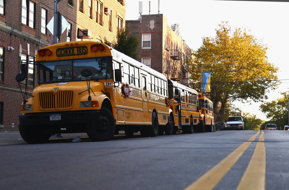 School buses parked on the street.
