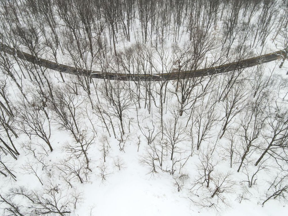 Aerial image of NJ woodland
