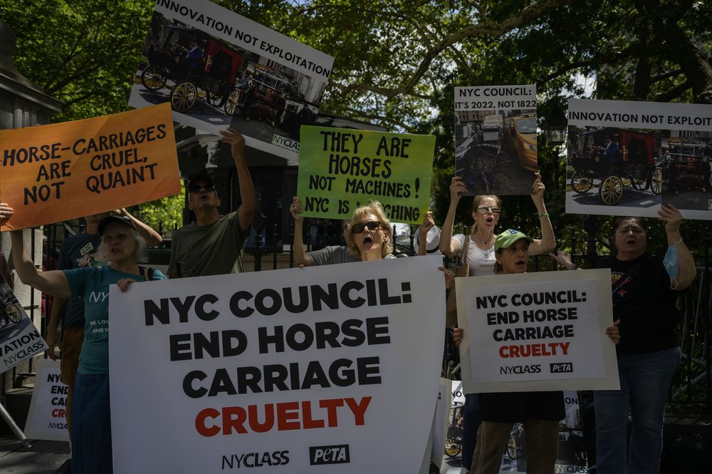 Activists from NYCLASS, PETA and other community leaders protest outside City Hall on August 11th, 2022, demanding to ban the practice of horse carriages.