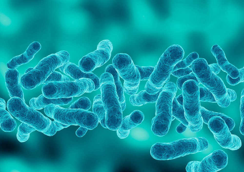 Legionella pneumophila, which causes Legionnaires' disease, is seen in a microscopic view.