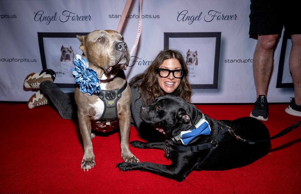 A woman lies down on a red carpet with two dogs.