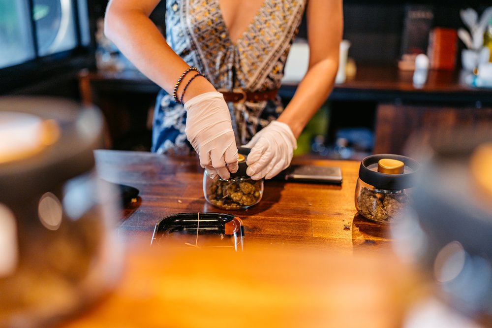 A young woman puts herbal cannabis in a glass jar