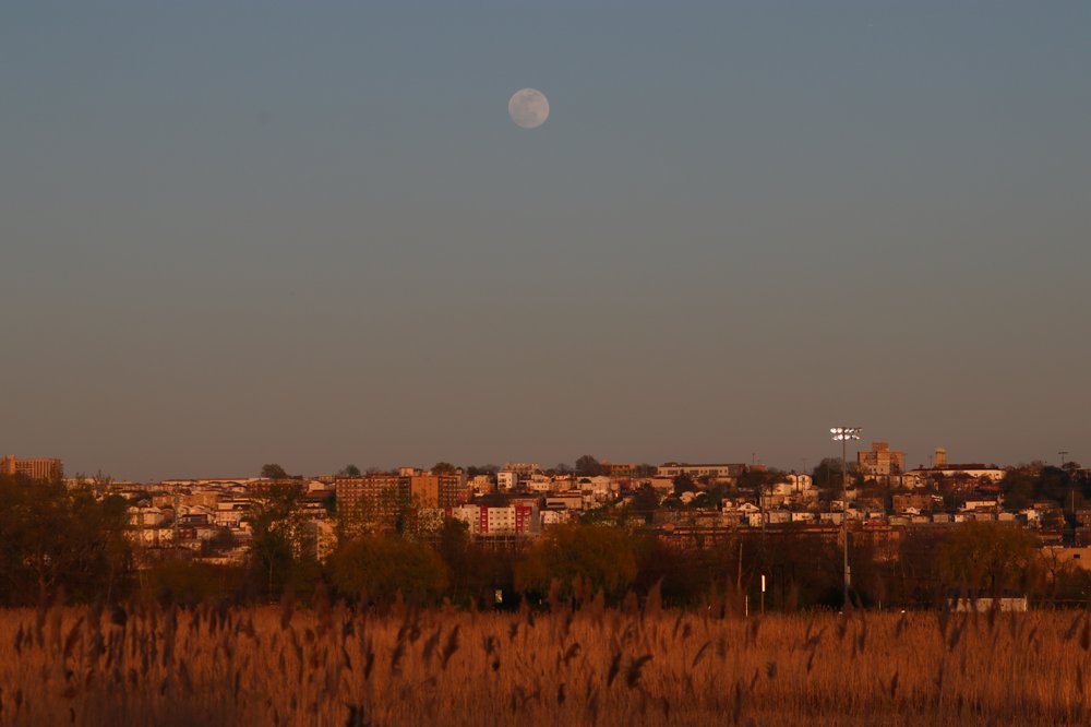 Secaucus, NJ