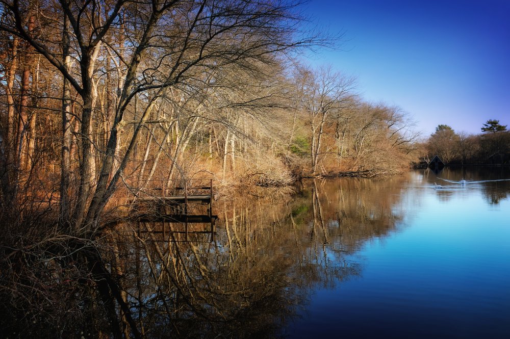 Connetquot River State Park in Oakdale, Long Island.