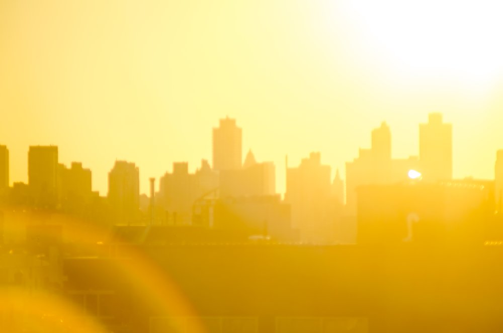 New York City's skyline in the summer
