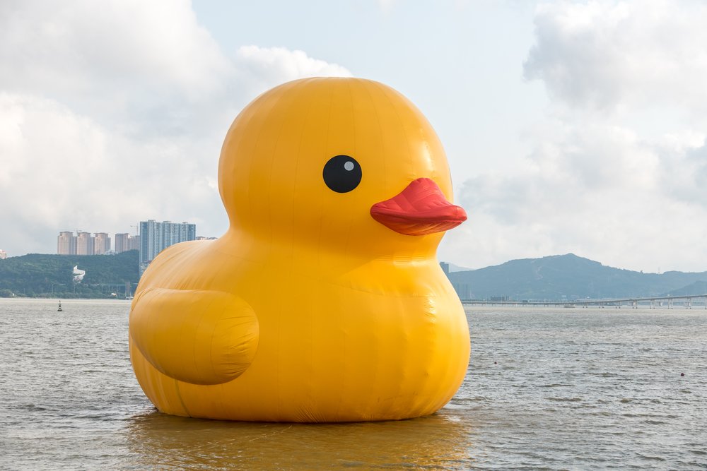The 61-foot rubber duck will hang out in Rye this weekend.