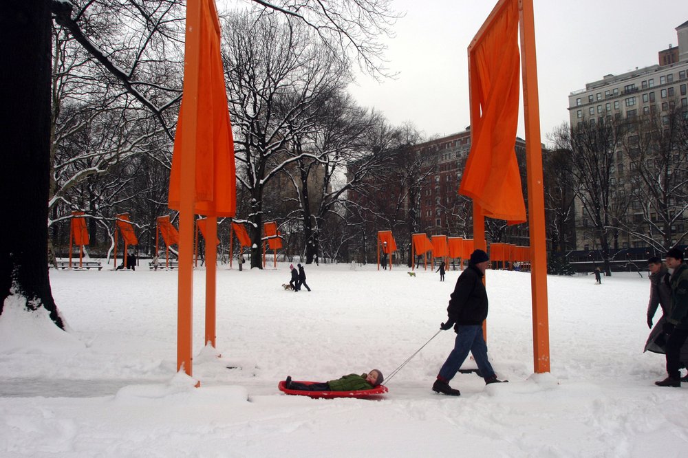A man pulls a sled with his grandson in it in Central Park with orange flags billowing in the background.