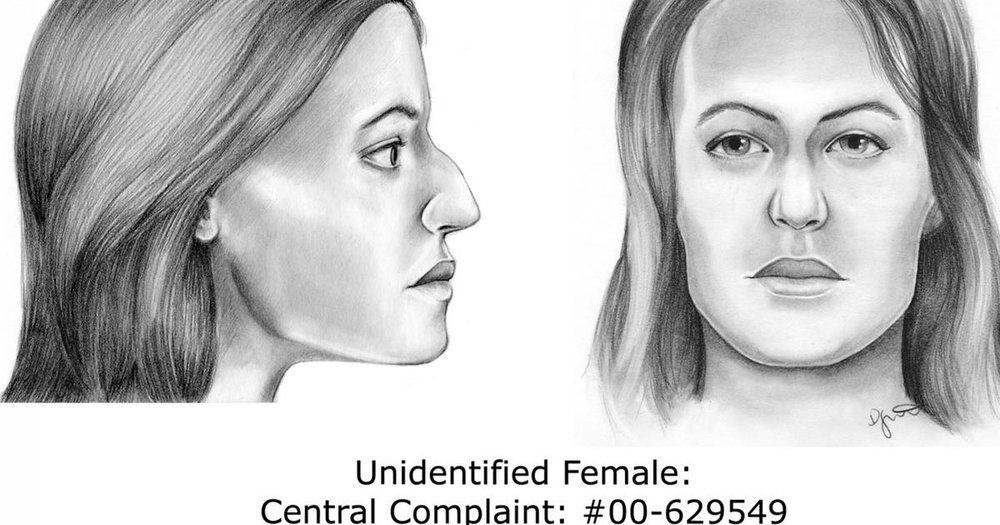Suffolk County Police Department released this sketch of Jane Doe #6.