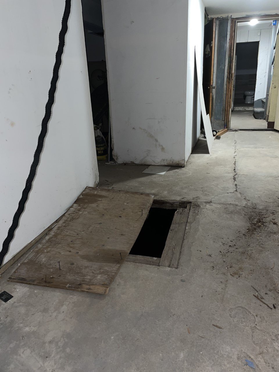 A photo of the basement where Dora Howell's remains were found.