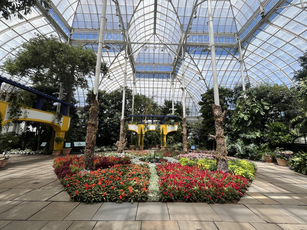 Flowers under a roof with windows in a dome shaped building.