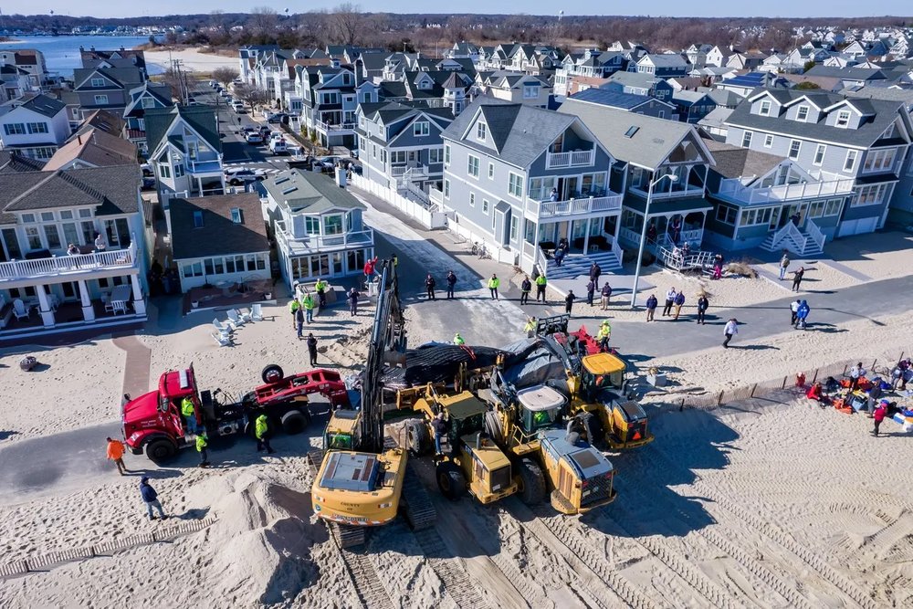 Humpback whale necropsy on Feb. 14, 2023 in Manasquan, NJ