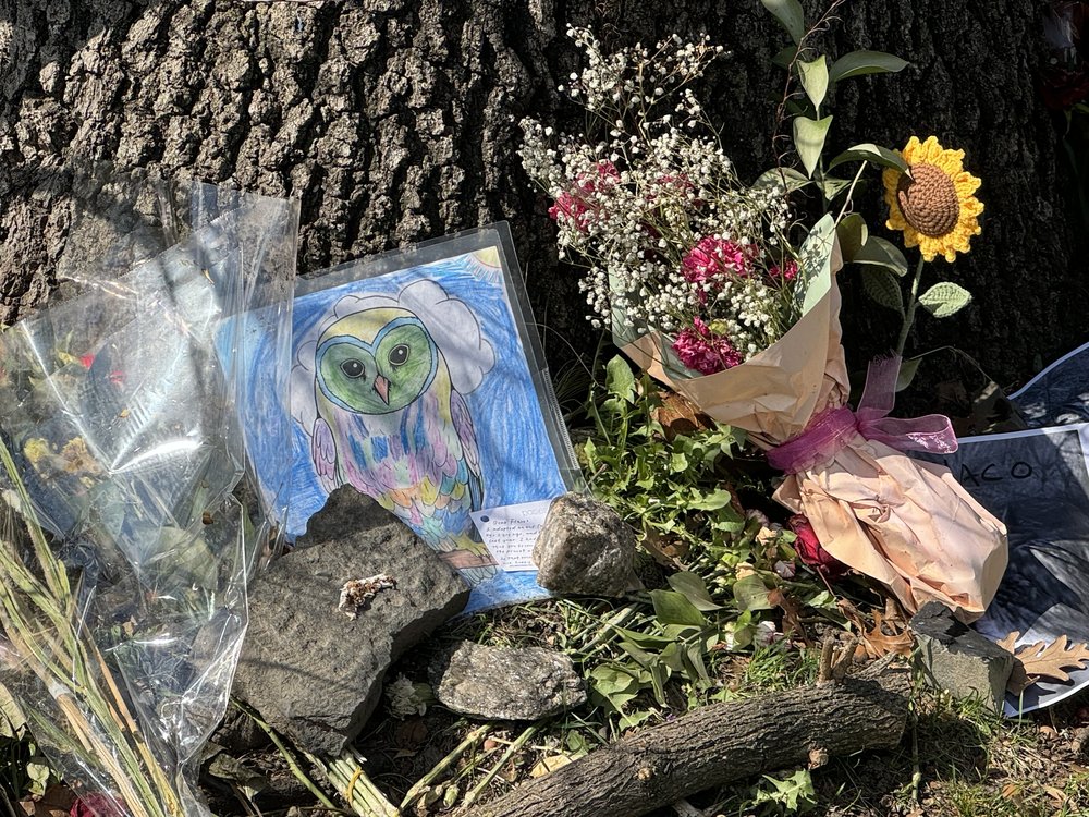 A memorial to Flaco in Central Park