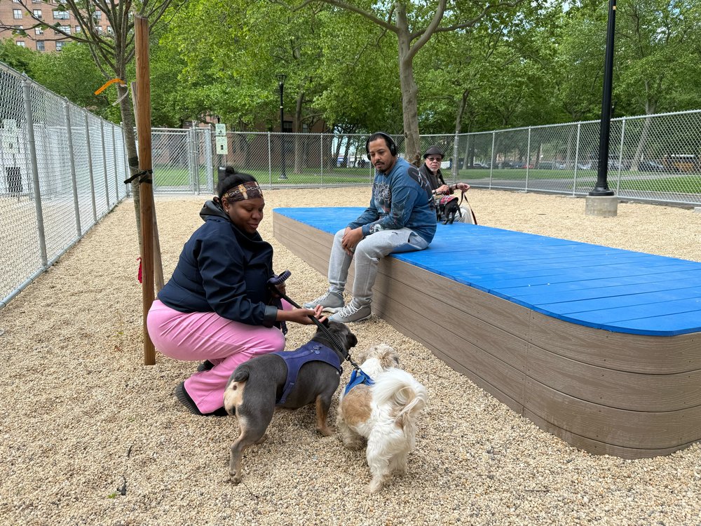 A woman in pink pants and her dog.