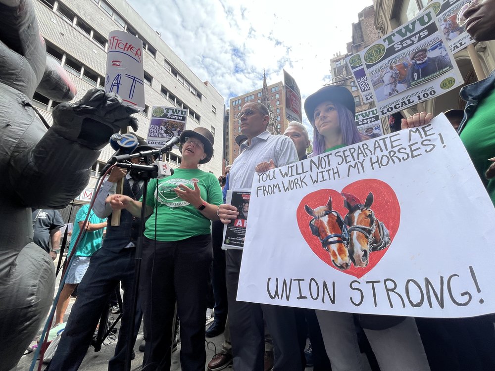 A group of carriage horse drivers protesting on a street.