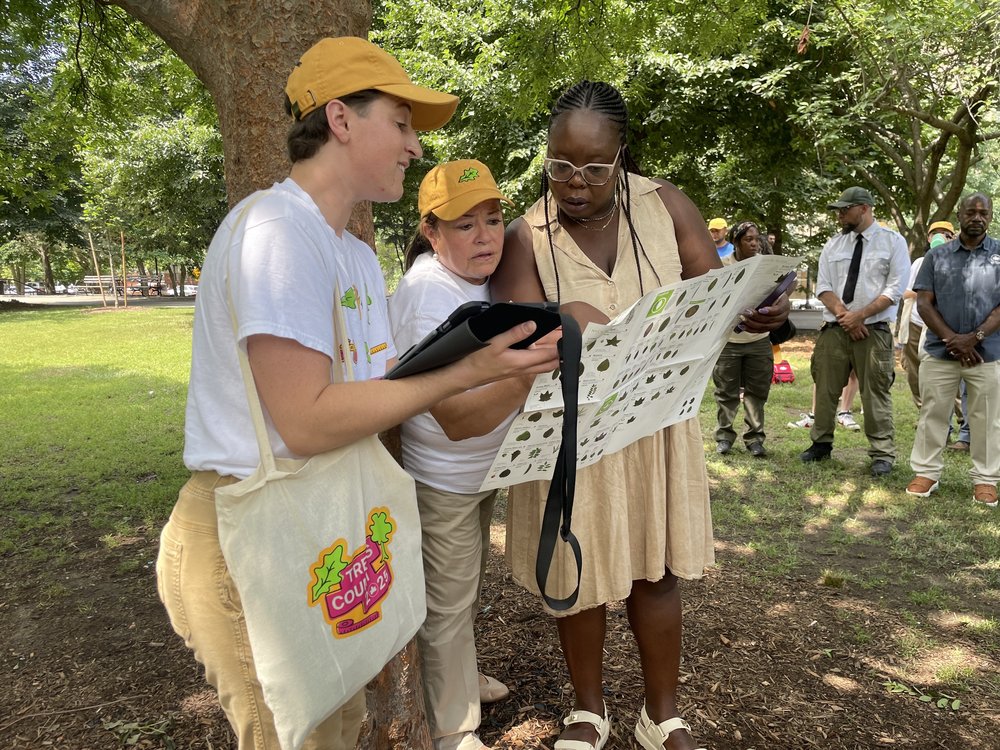 Volunteers at a tree counting events.