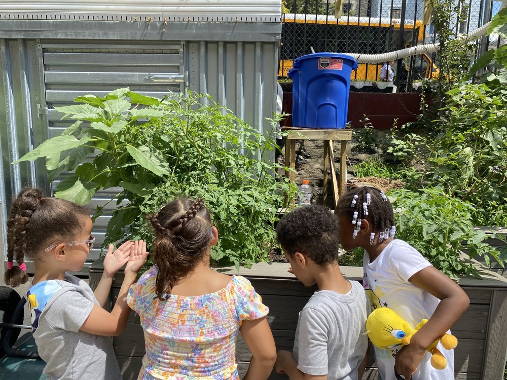 Several children look over a garden at Fairmont Neighborhood School