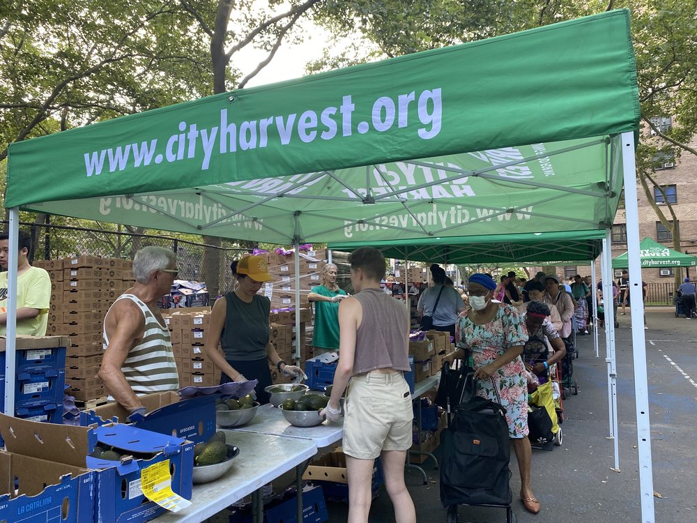 A recent food distribution event by City Harvest in Bed-Stuy on July 16, 2025.
