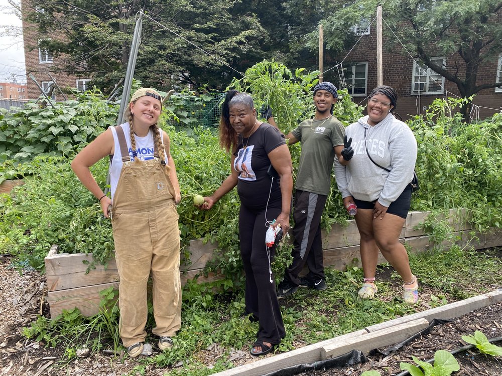 Four people pose for a photo in front of tomato plans that are shoulder height.