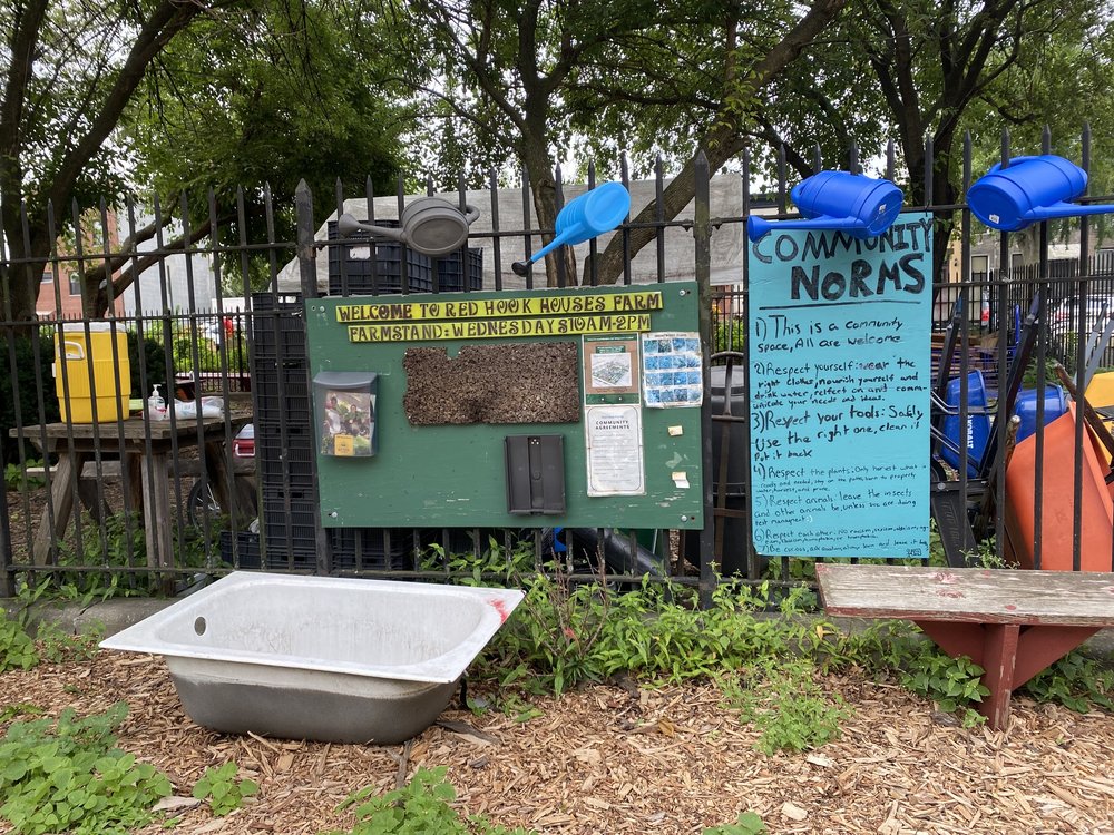Two large posters hang on the iron fence around the Red Hook Houses community garden displaying rules and information about the garden while bright blue watering cans hang off of the top.