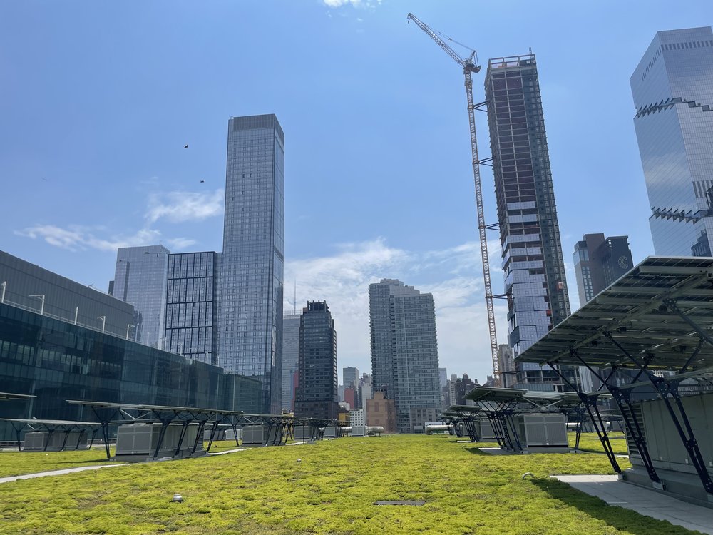 Most of the Javits green roof is covered in a layer of sedum, less than an inch thick. It's a layer of succulent plants and can absorb nearly 80% of stormwater runoff.