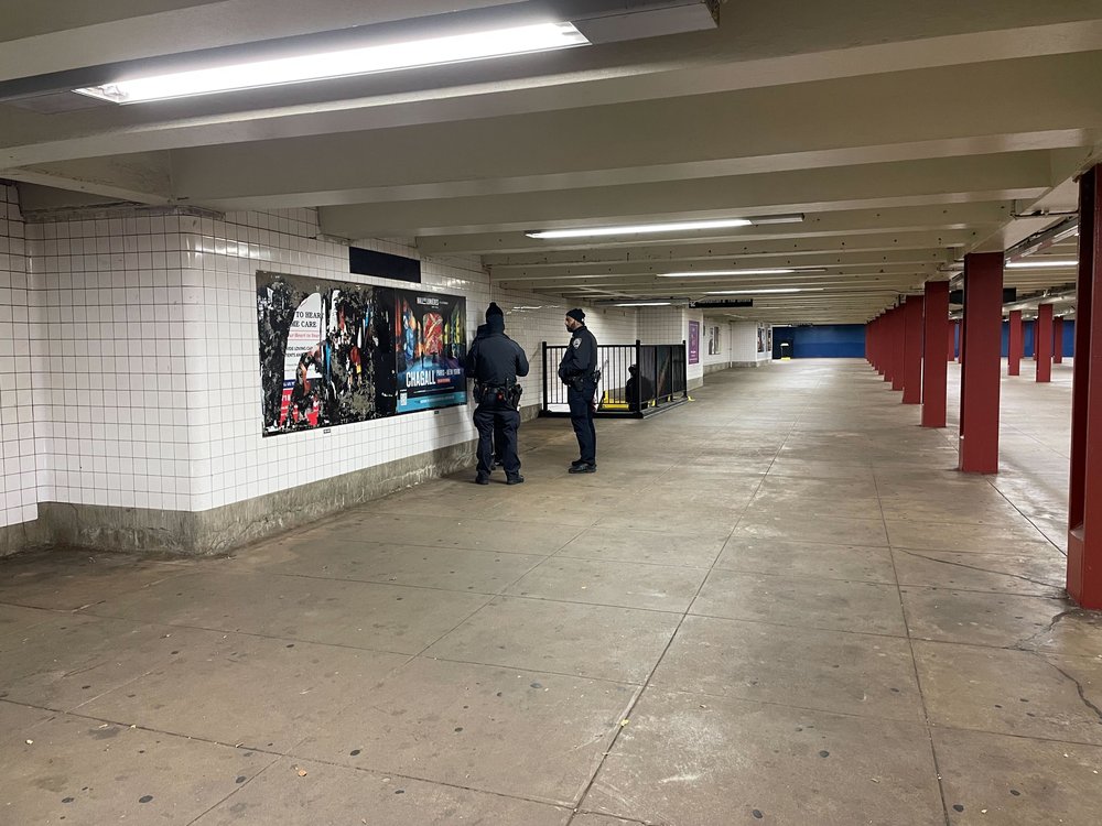 Police ticket someone for fare evasion in the Ralph Ave. station Wednesday.