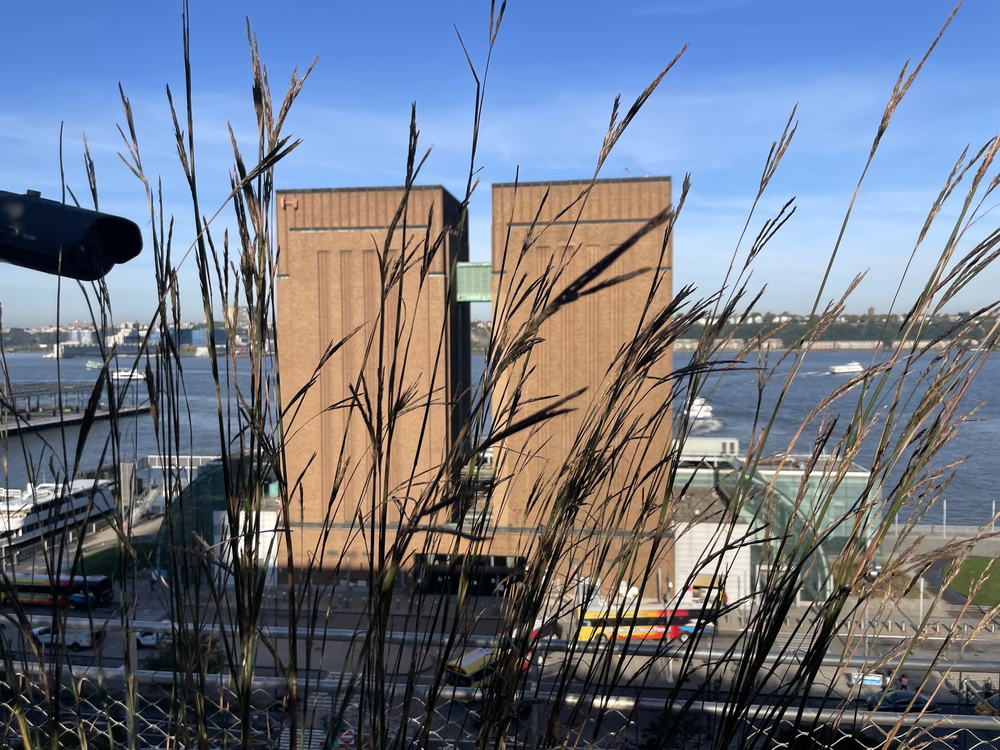 The Javits green roof is a respite from the busy Westside Highway.