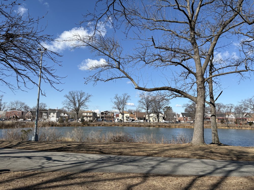 Springfield Park is on the road where truckers and other drivers routinely park.