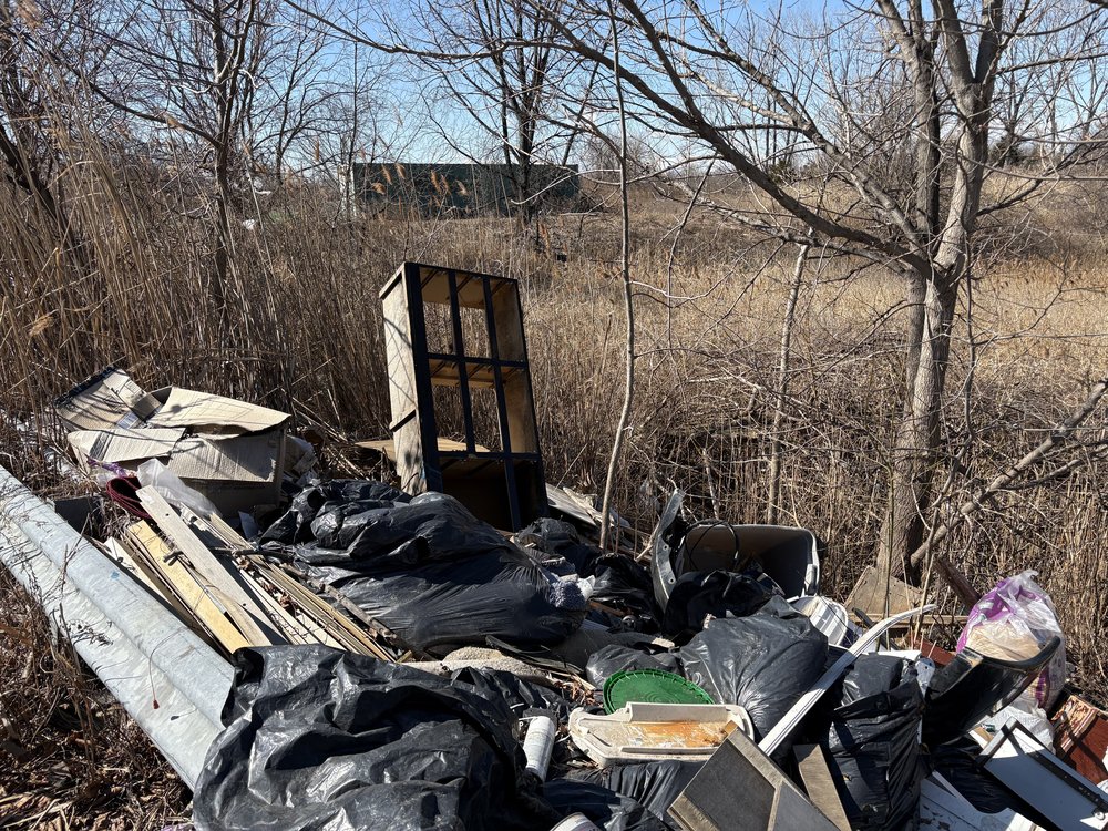 The site of an illegal garbage dump next to an elementary school in Idlewild Park.