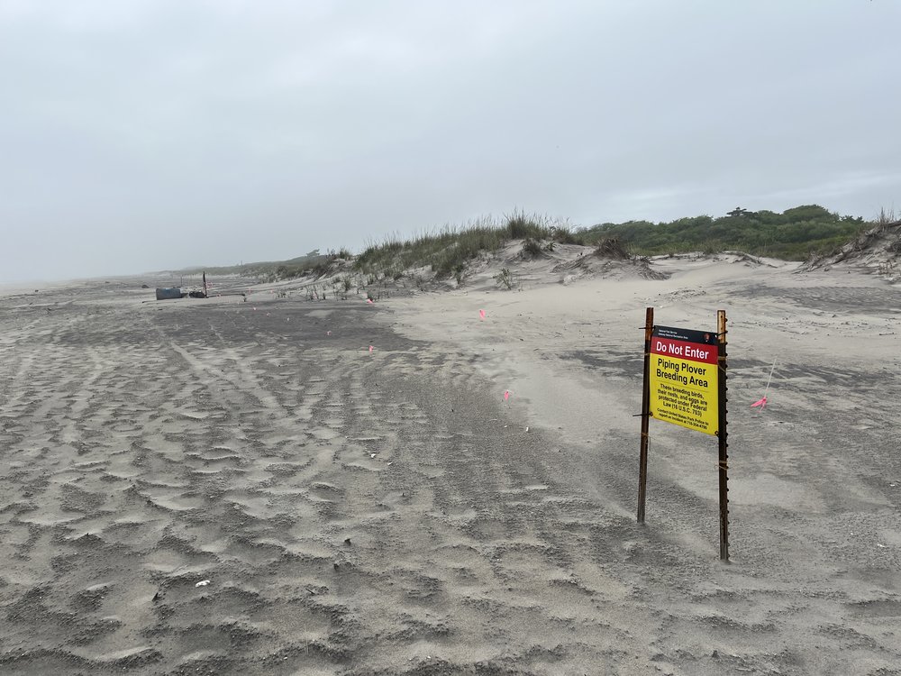The sand dunes out near Fort Tilden.