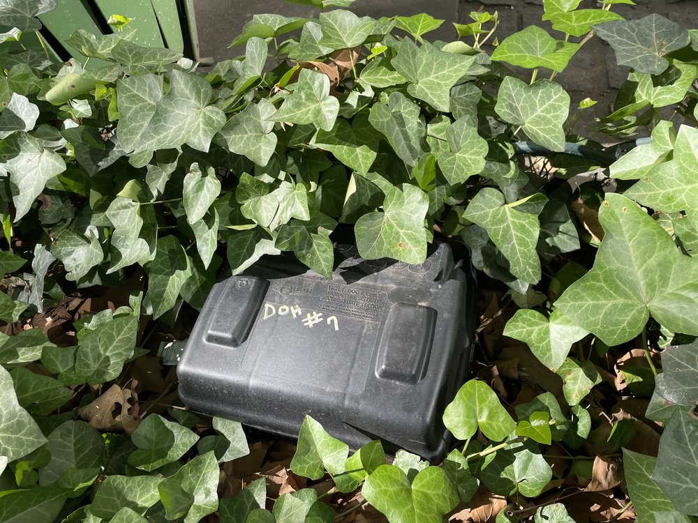 A black rat bait box among shrubs.