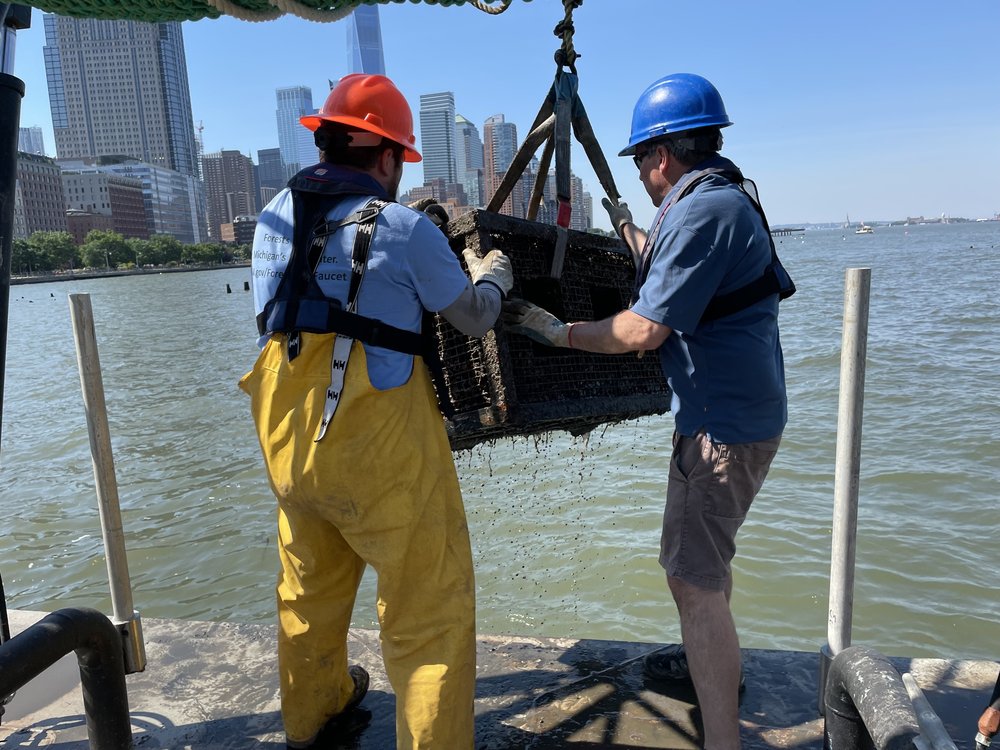 Two men guide a cage being hoisted onto a barge by a crane.