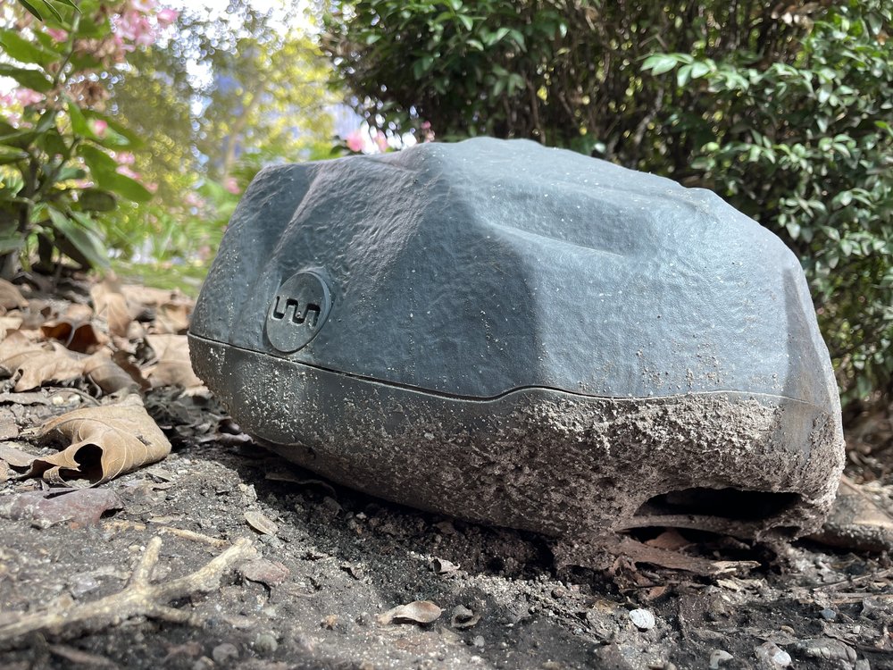 A rat trap designed to look like a gray rock on the ground.