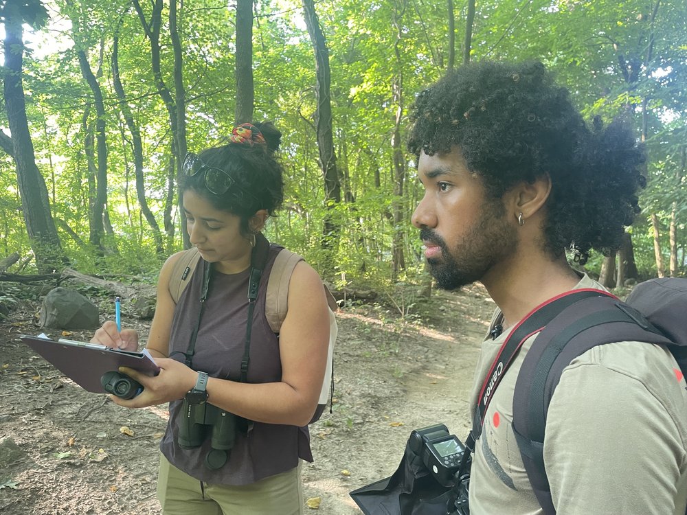 A woman writes on a clipboard standing in the woods with a man.